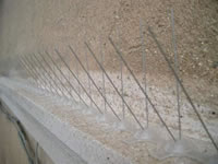 Dispositiu anticolom